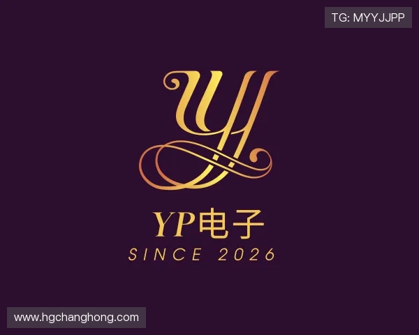 认识YP电子