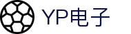 YP电子集团股份有限公司